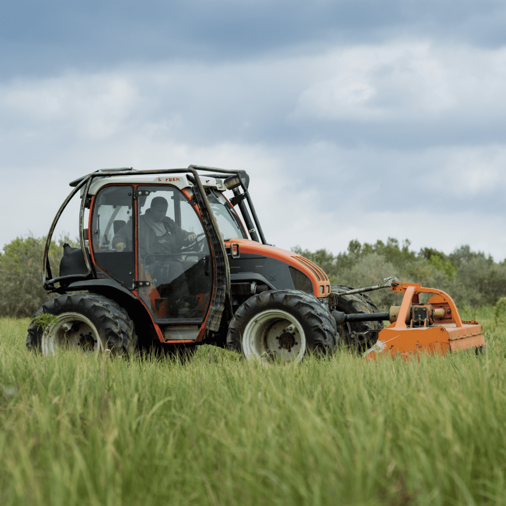 Kivitelezés és rekultiváció