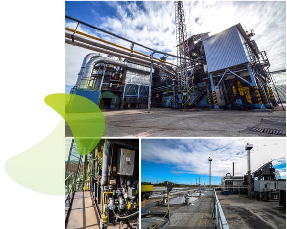 Termikus ártalmatlanítás