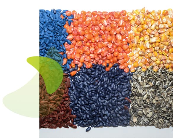 Vetőmag-hasznosítás