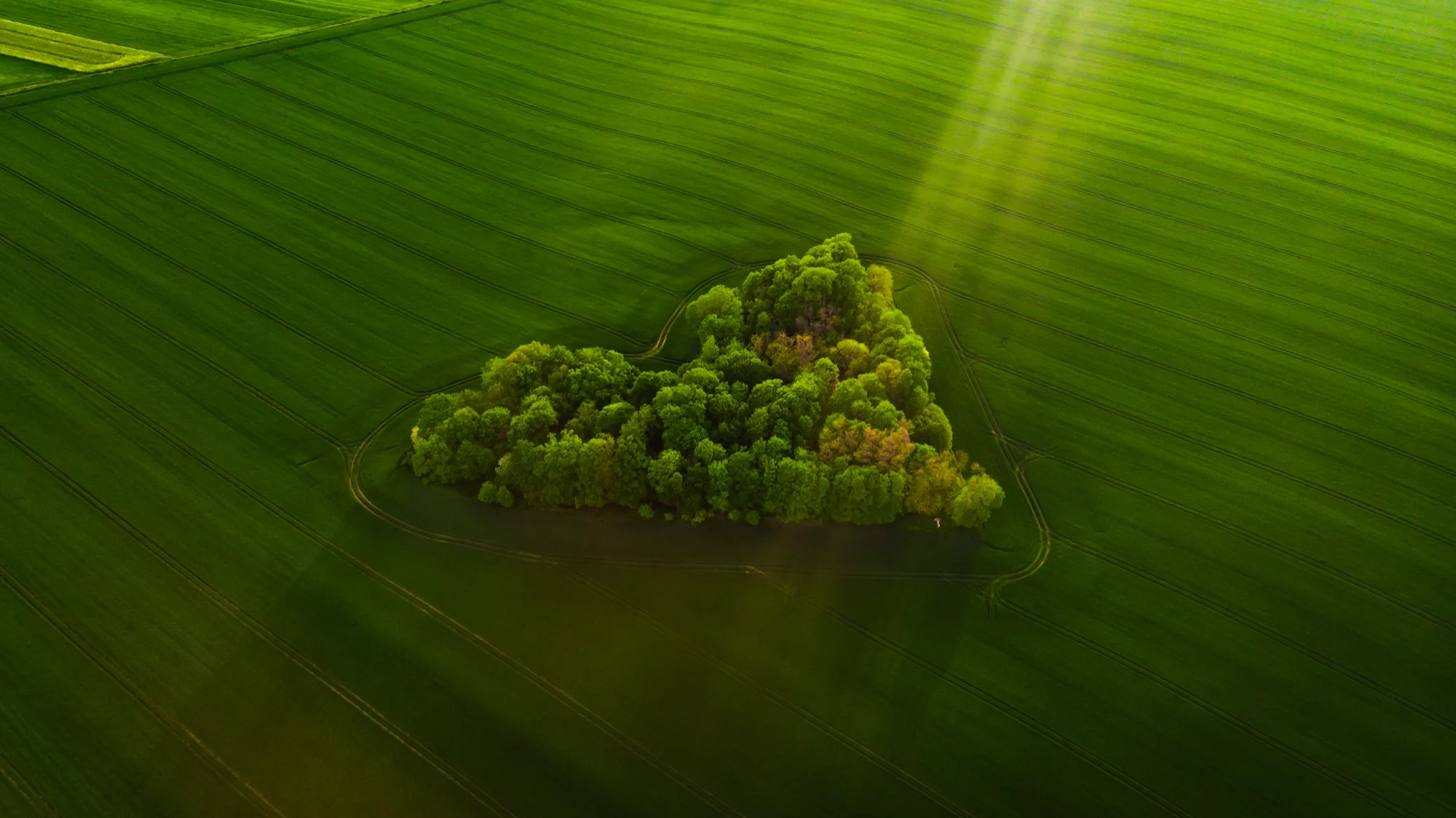 Envirotis